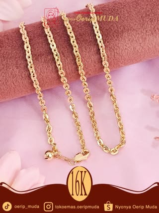 Hollofancy Collection