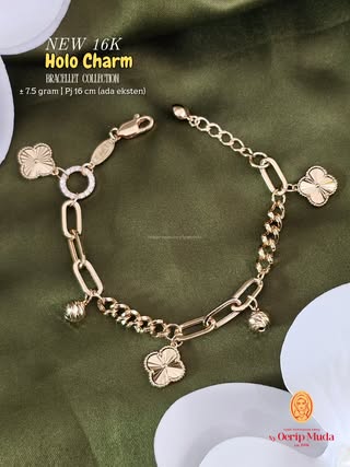 Holo Charm